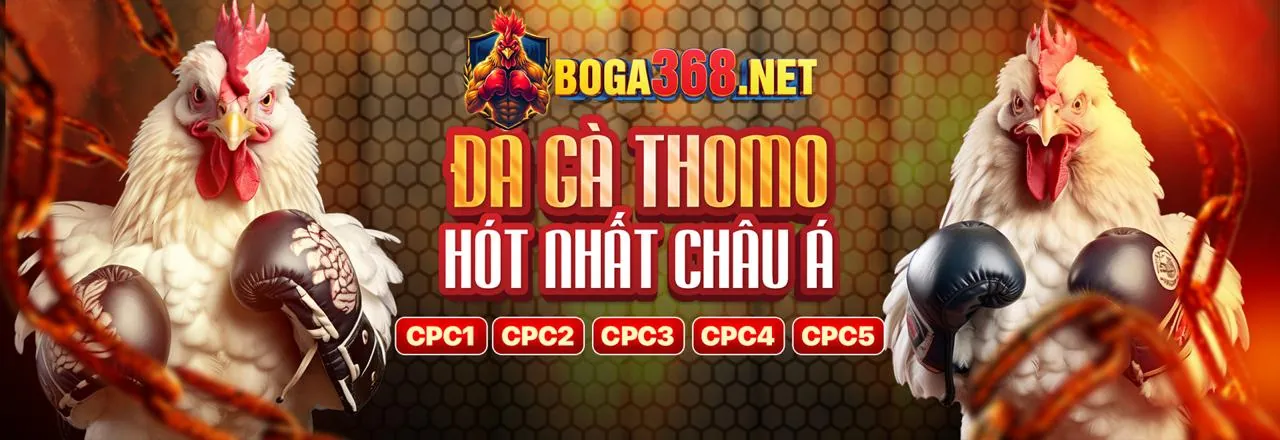Đá Gà Trực Tuyến Hấp Dẫn